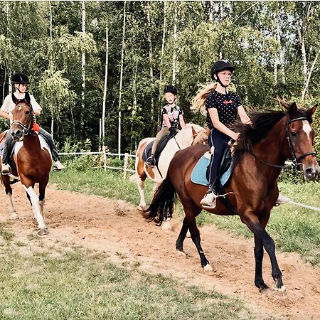 #1 Lakeview Paradise In Mazury, Pets Welcome Kosewo  Bagian luar foto